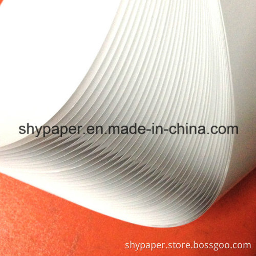 The High Quality 100% Virgin Wood Free Bond Paper 250GSM